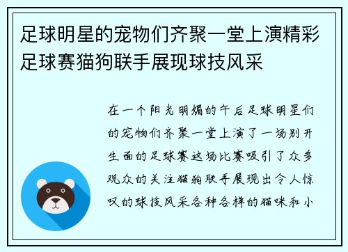 足球明星的宠物们齐聚一堂上演精彩足球赛猫狗联手展现球技风采